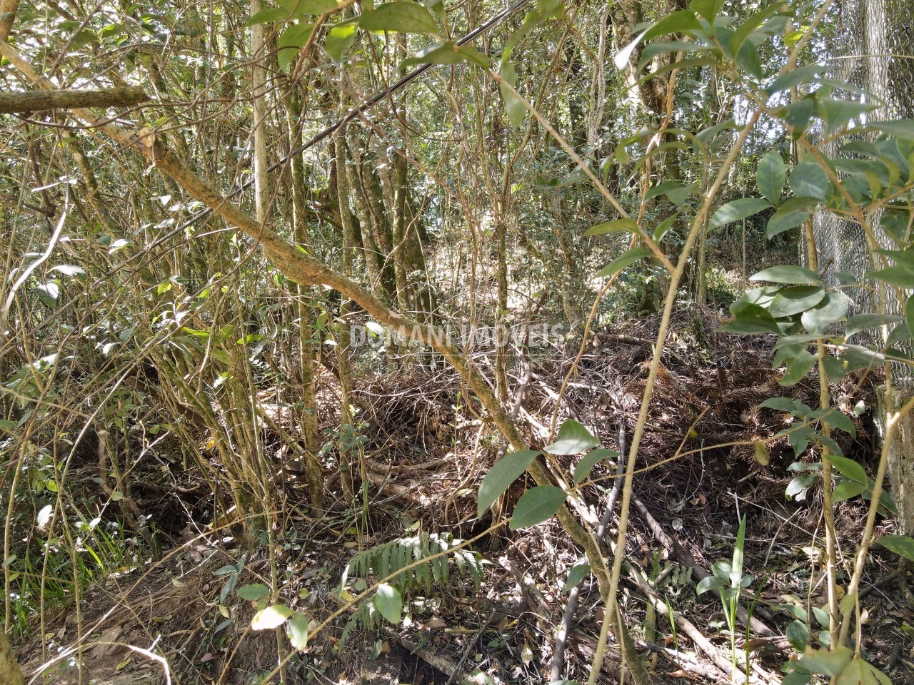 Plot of 1,040 m² in Campos do Jordão, SP, Brazil