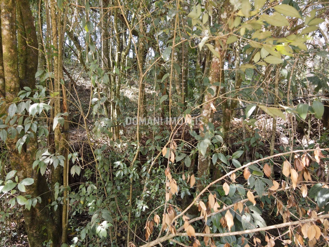 Terreno de 1,040 m² em Campos do Jordão, SP