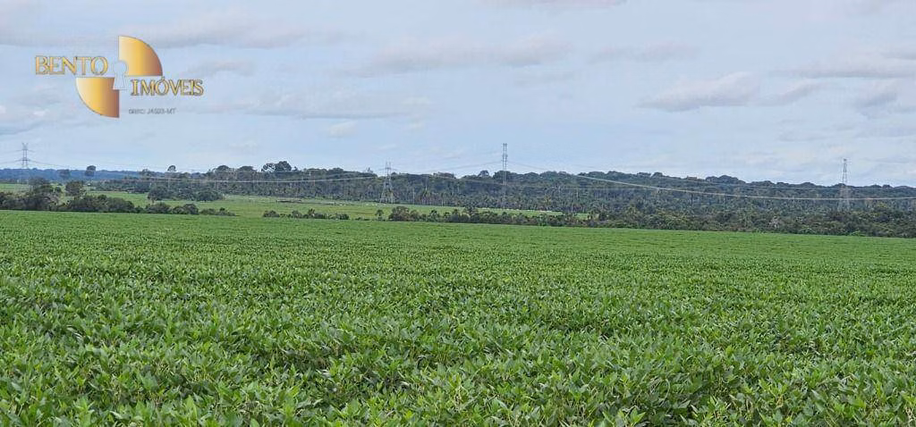 Fazenda de 525 ha em Sinop, MT