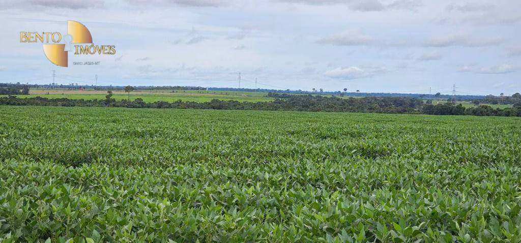 Fazenda de 525 ha em Sinop, MT