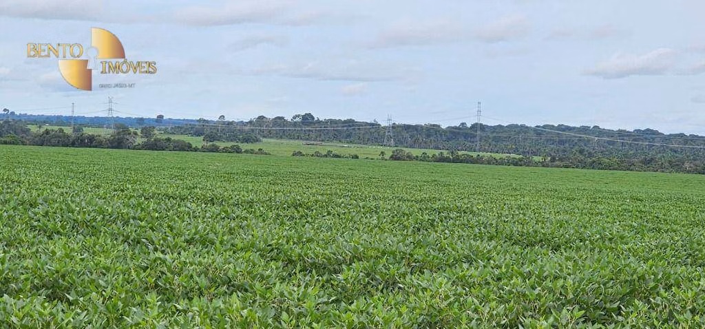 Fazenda de 525 ha em Sinop, MT