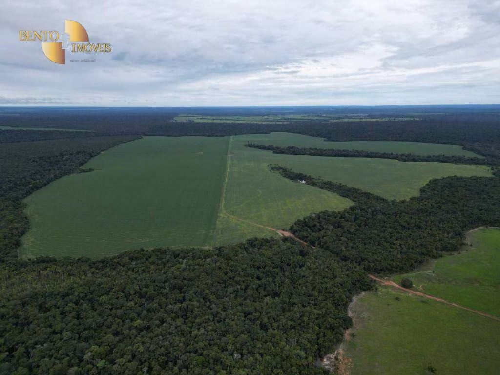 Fazenda de 525 ha em Sinop, MT