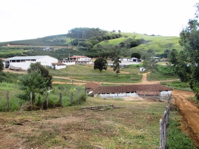 Fazenda de 726 ha em Santo Antônio do Amparo, MG