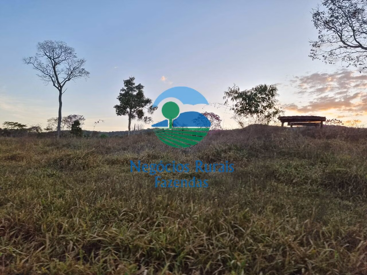 Fazenda de 1.210 ha em Campinaçu, GO