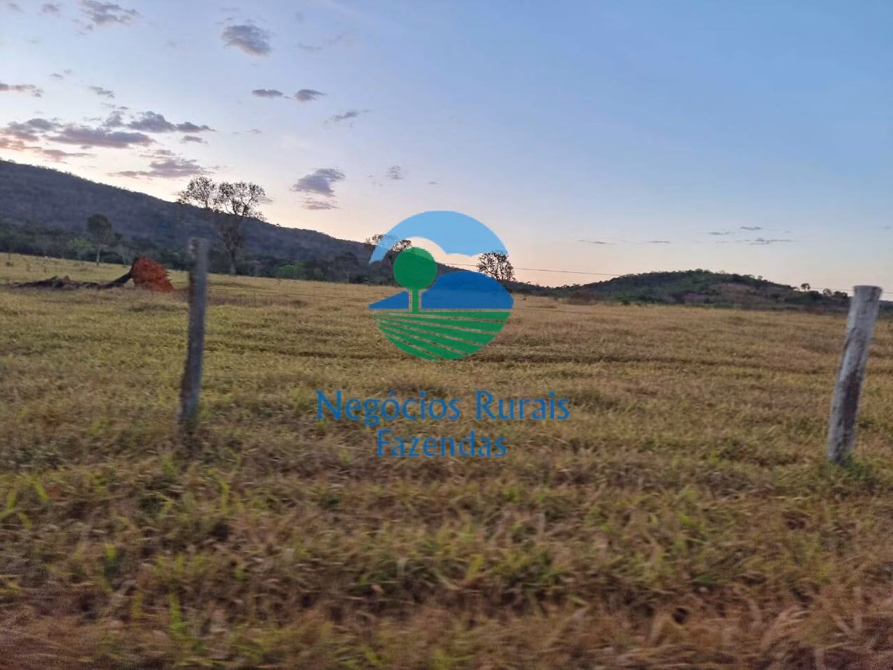 Fazenda de 1.210 ha em Campinaçu, GO