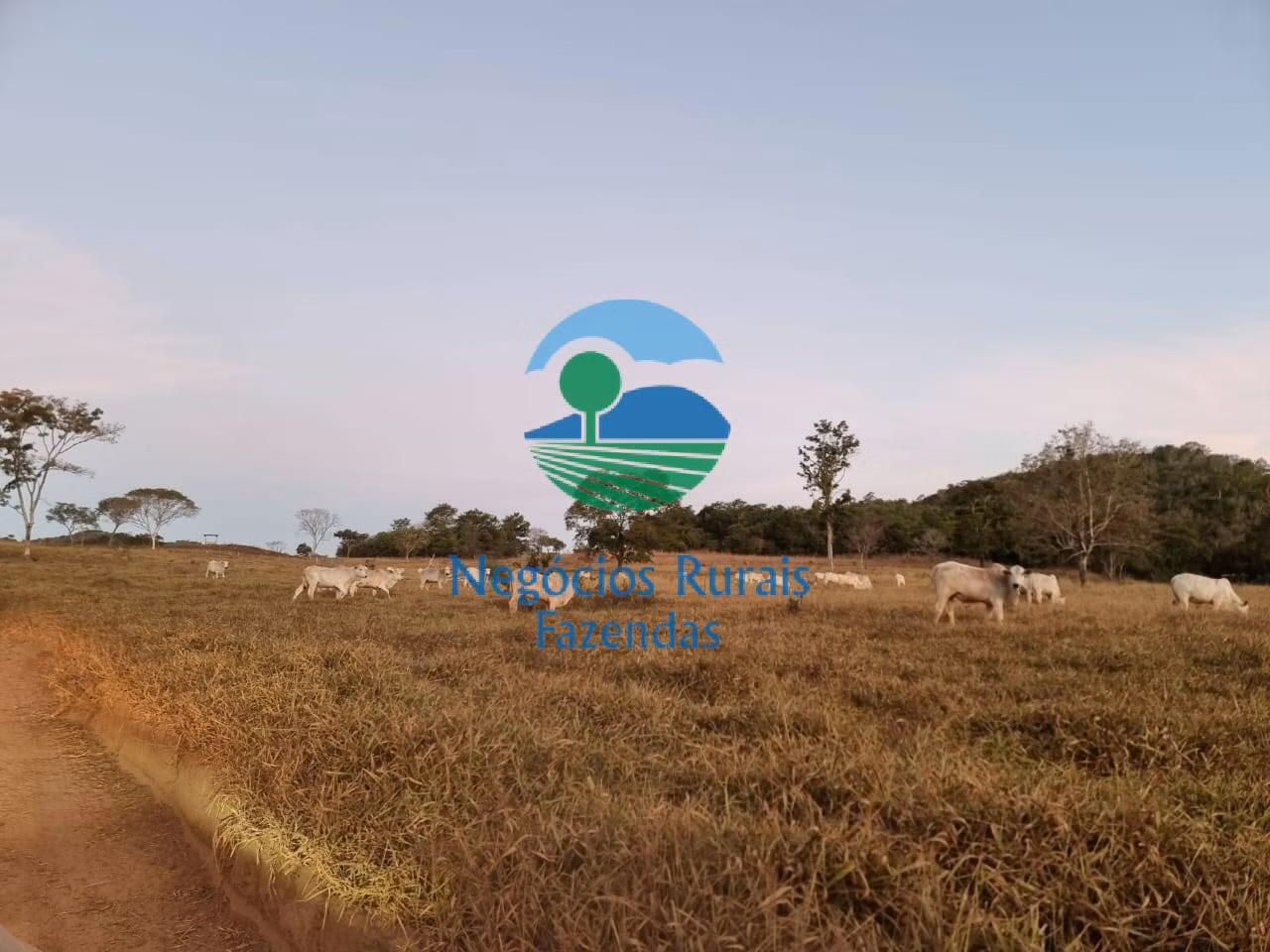 Fazenda de 1.210 ha em Campinaçu, GO