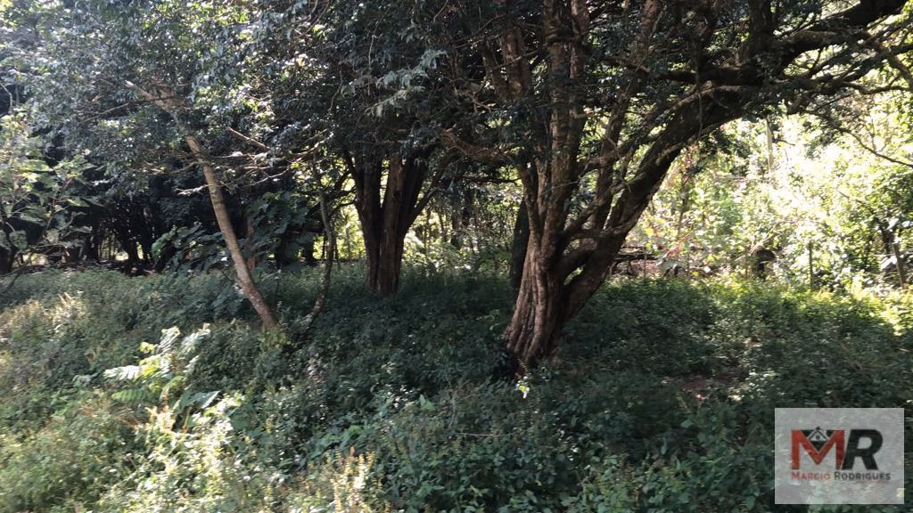 Sítio de 2 ha em Estiva, MG