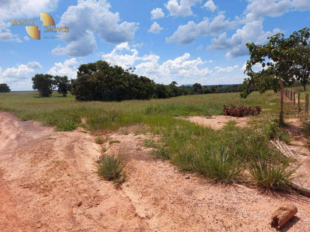 Fazenda de 4,306 ha em Tesouro, MT