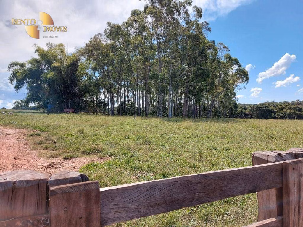 Fazenda de 4.306 ha em Tesouro, MT