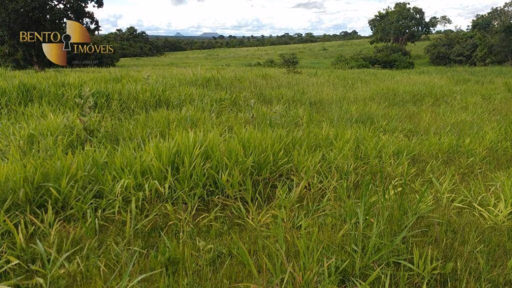 Fazenda de 4,306 ha em Tesouro, MT