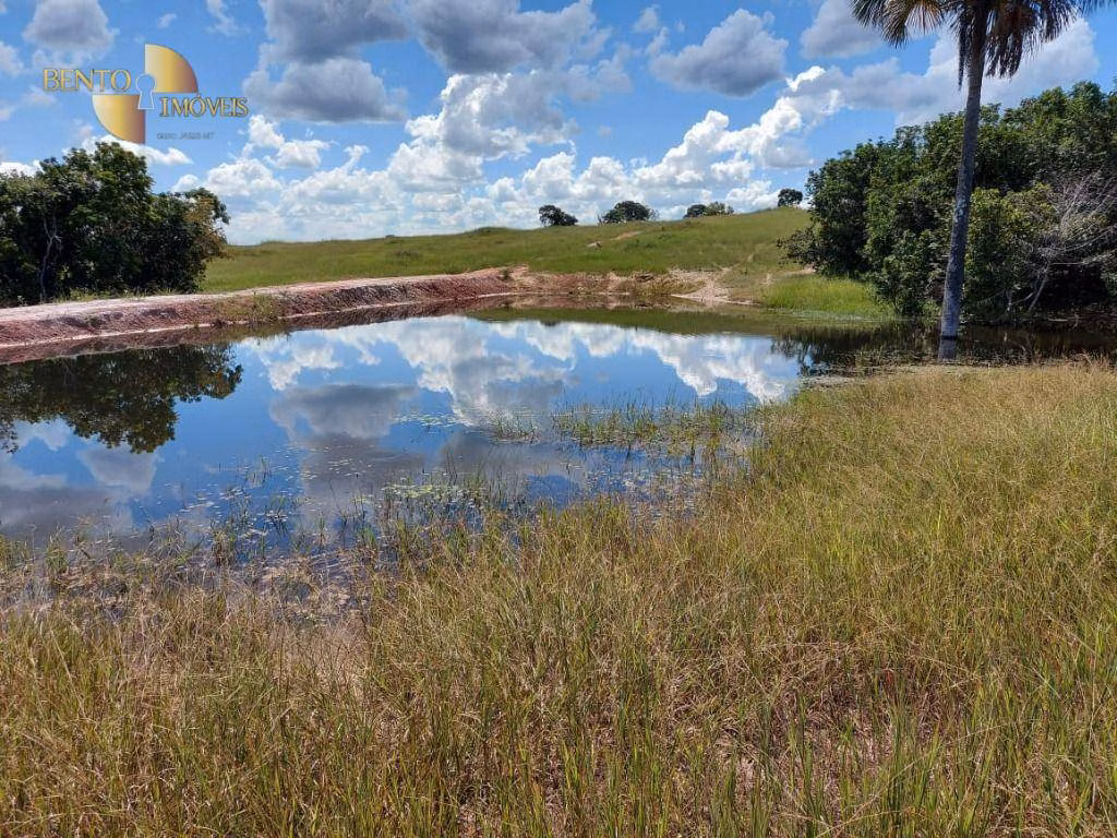 Fazenda de 4,306 ha em Tesouro, MT