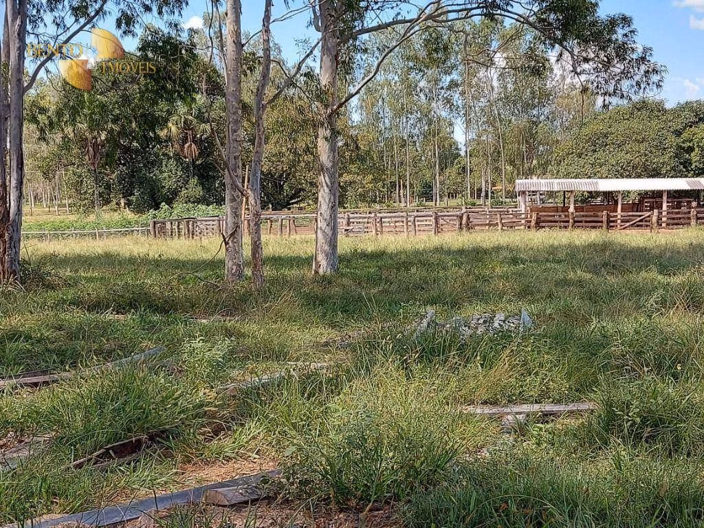 Fazenda de 4.306 ha em Tesouro, MT