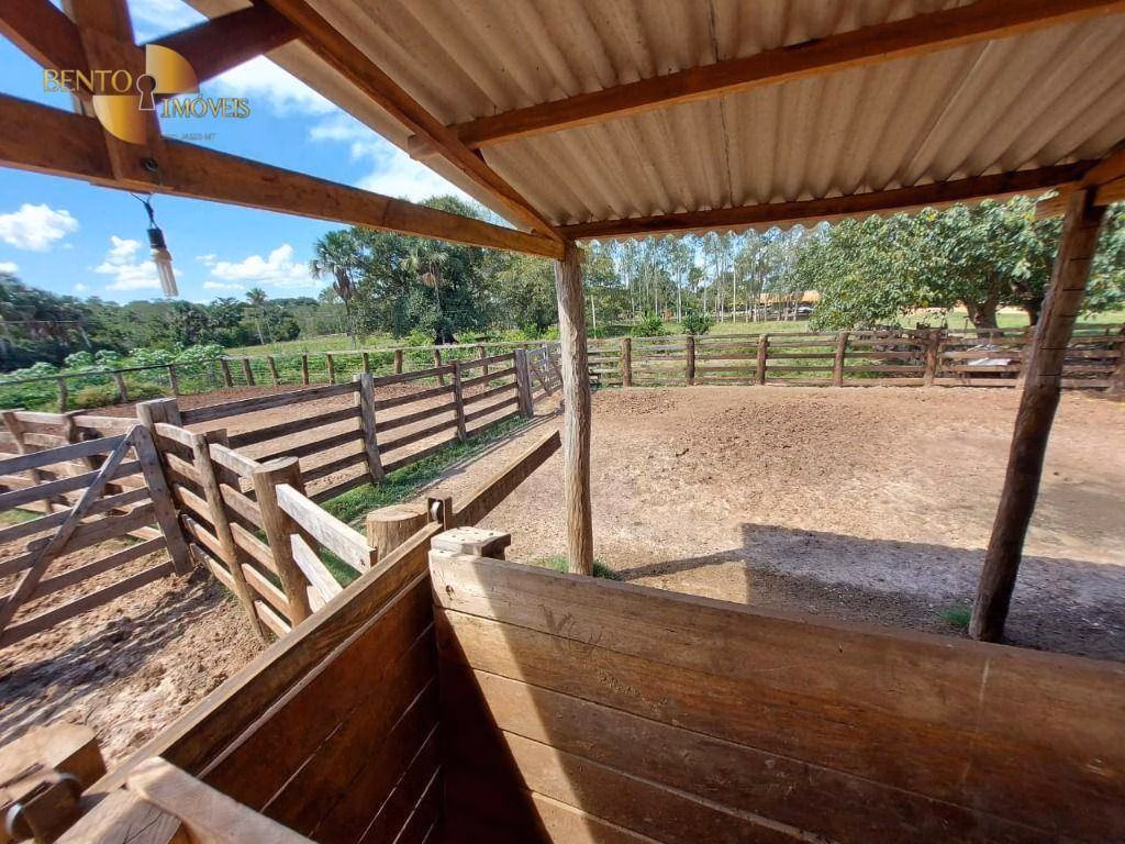 Fazenda de 4,306 ha em Tesouro, MT