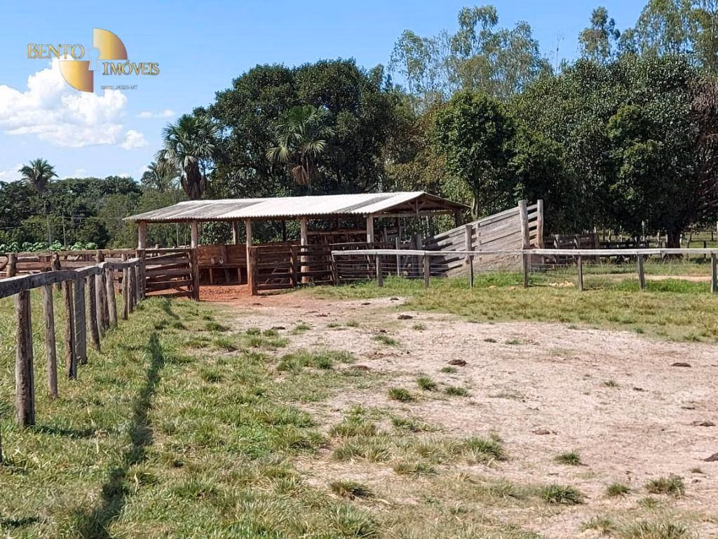 Fazenda de 4.306 ha em Tesouro, MT
