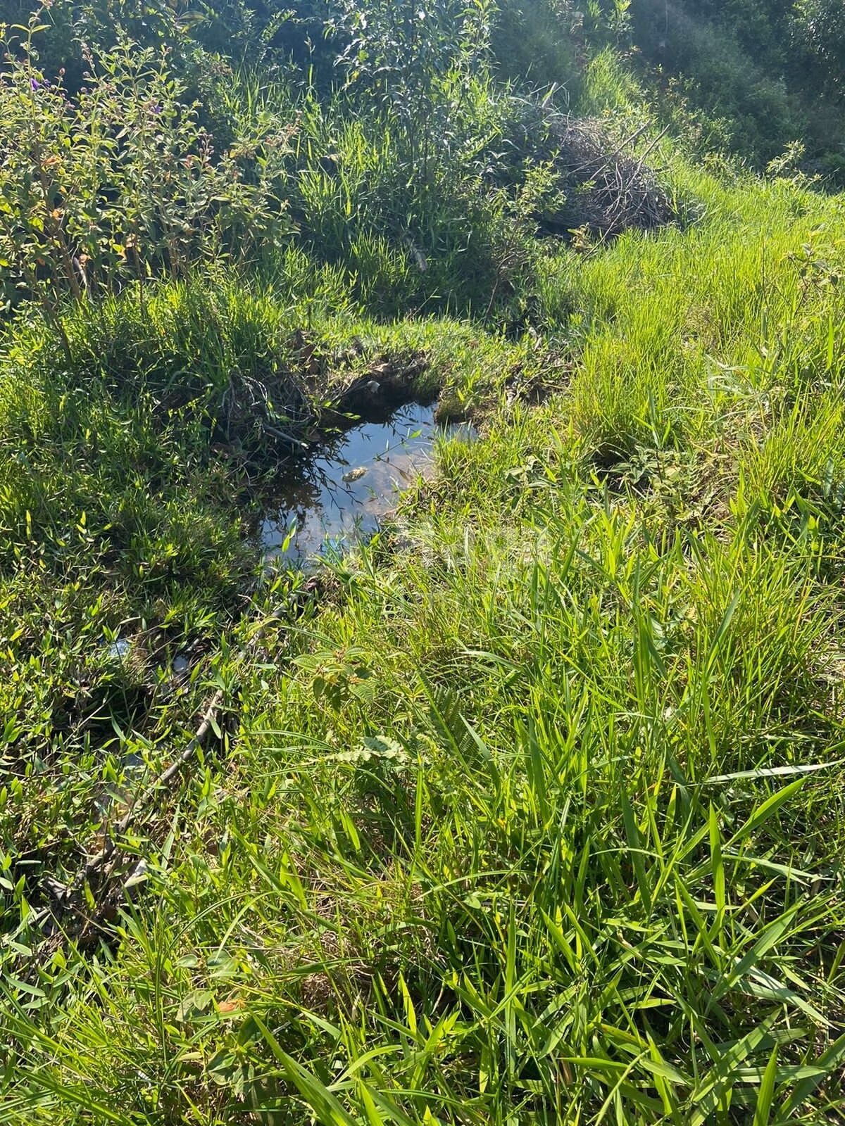 Farm of 7 acres in Tijucas, SC, Brazil