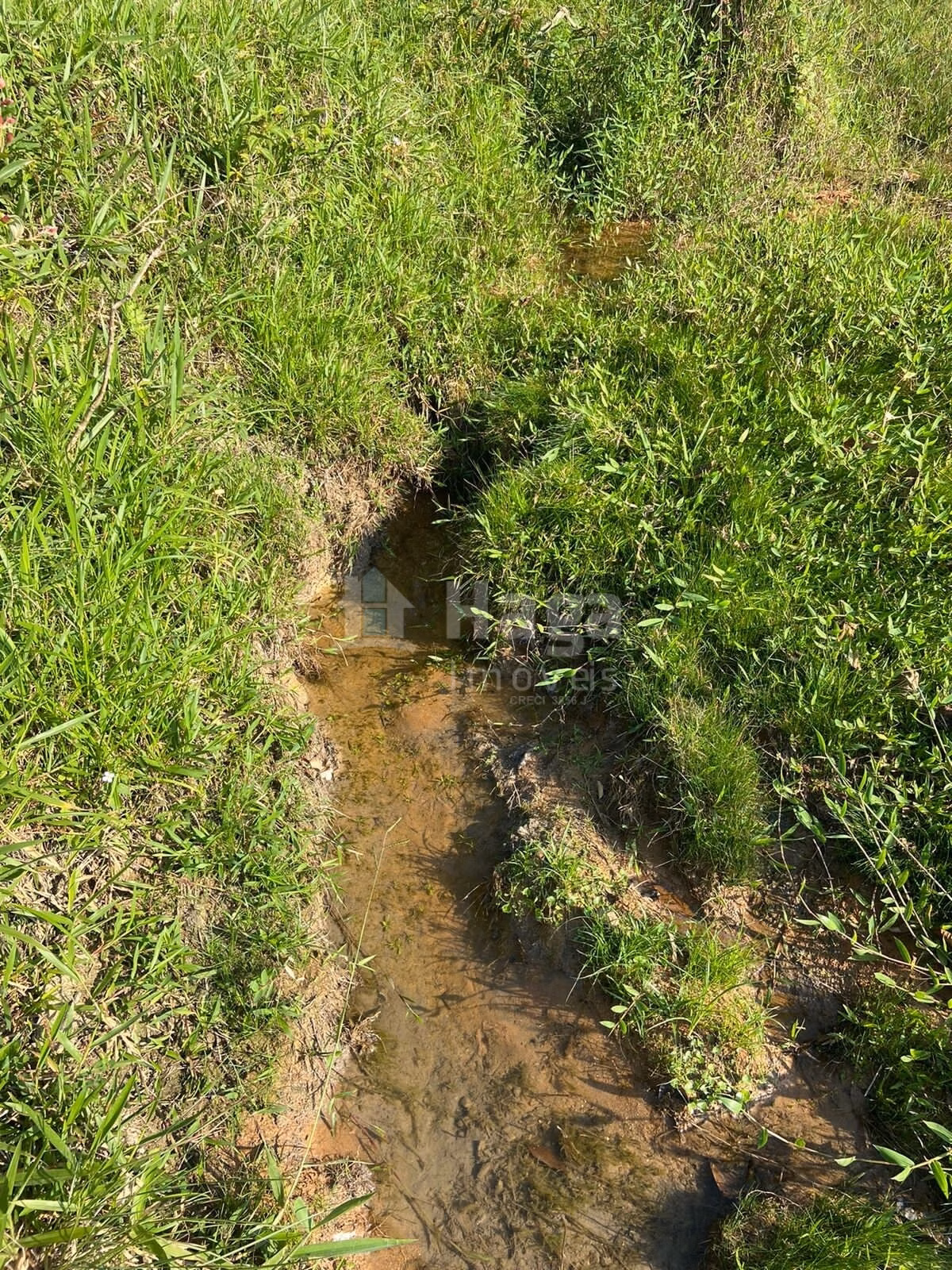Farm of 7 acres in Tijucas, SC, Brazil