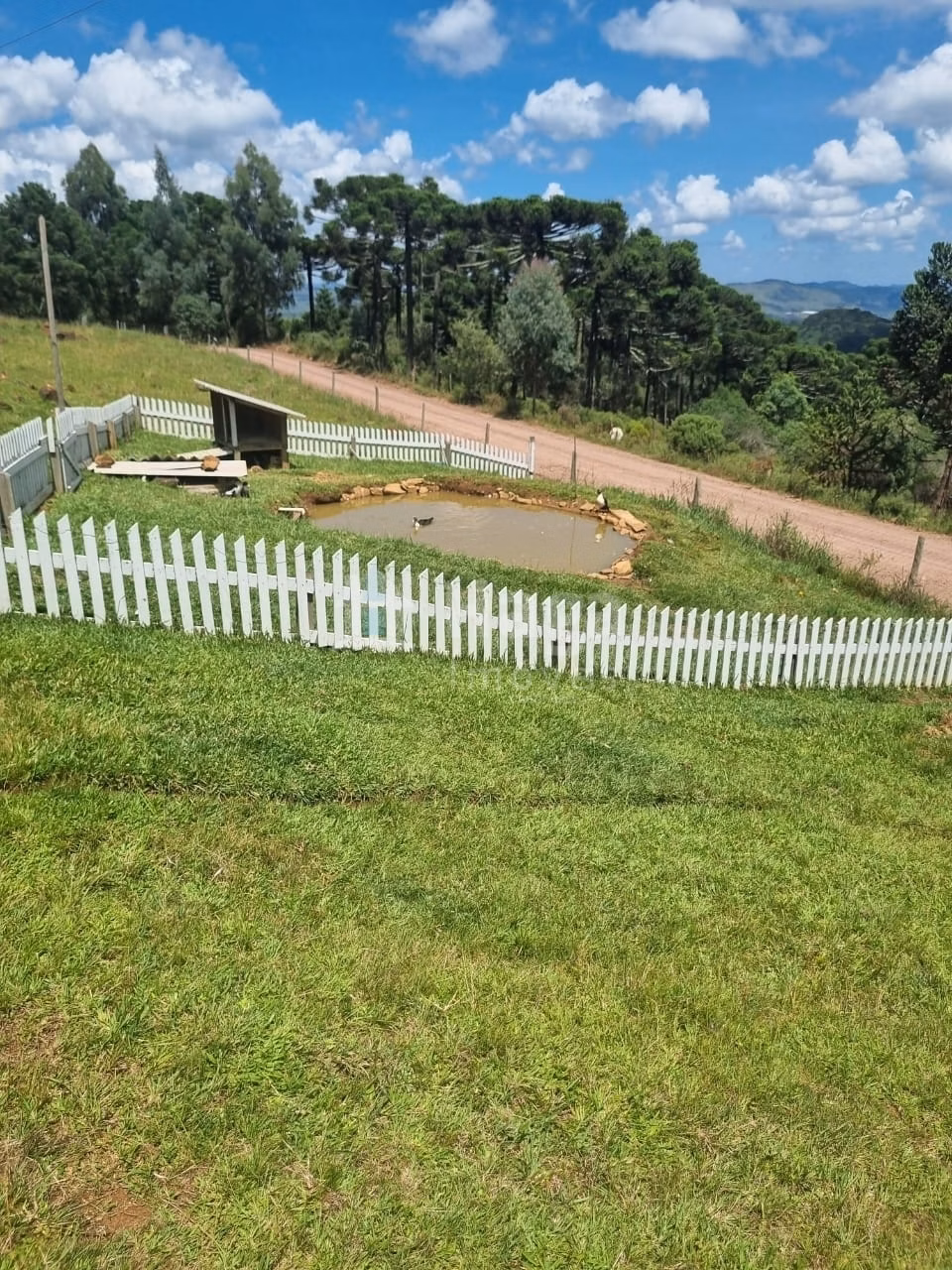 Chácara de 5 ha em Bom Jardim da Serra, SC