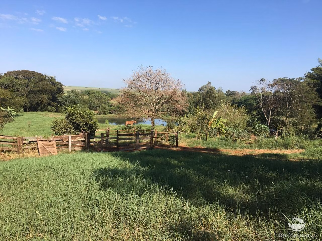 Sítio de 5 ha em Itambaracá, PR