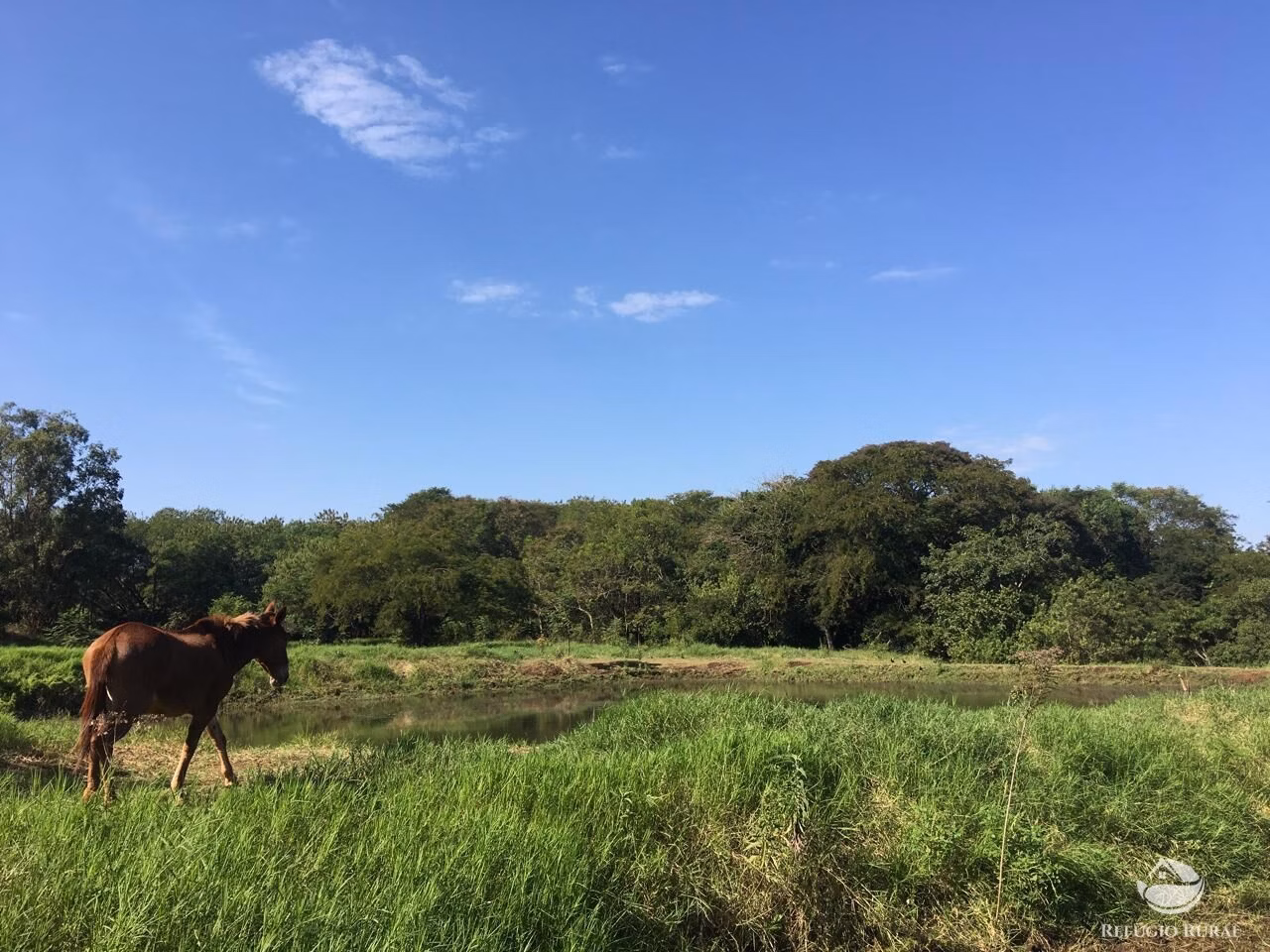 Sítio de 5 ha em Itambaracá, PR