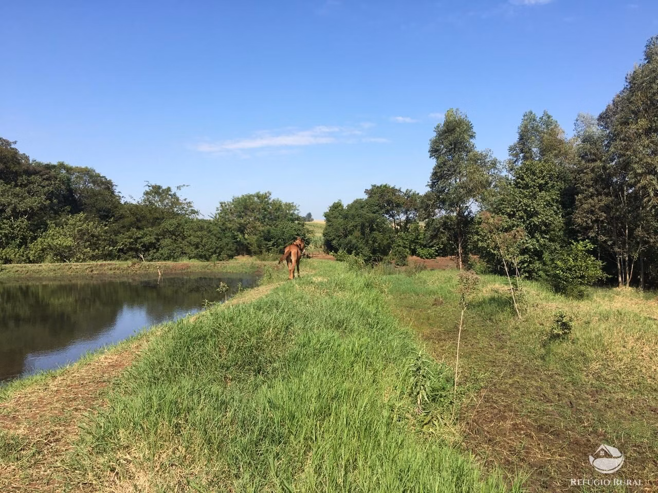 Sítio de 5 ha em Itambaracá, PR