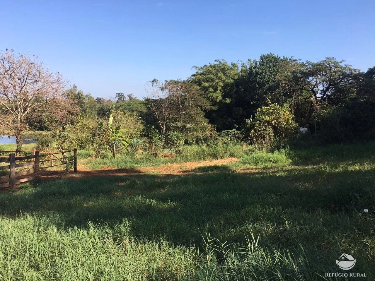 Sítio de 5 ha em Itambaracá, PR