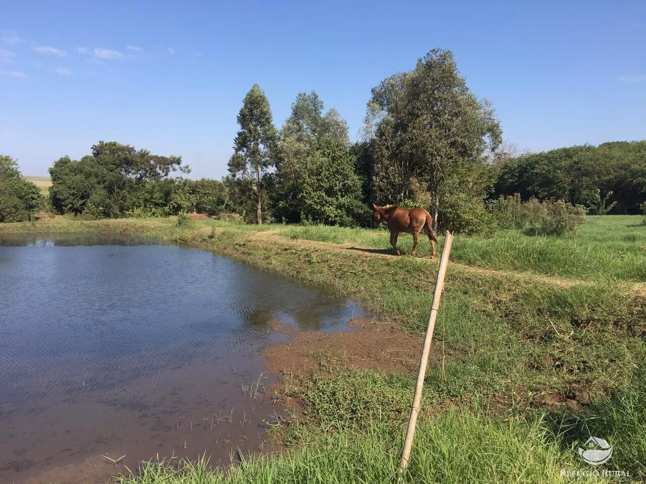 Sítio de 5 ha em Itambaracá, PR