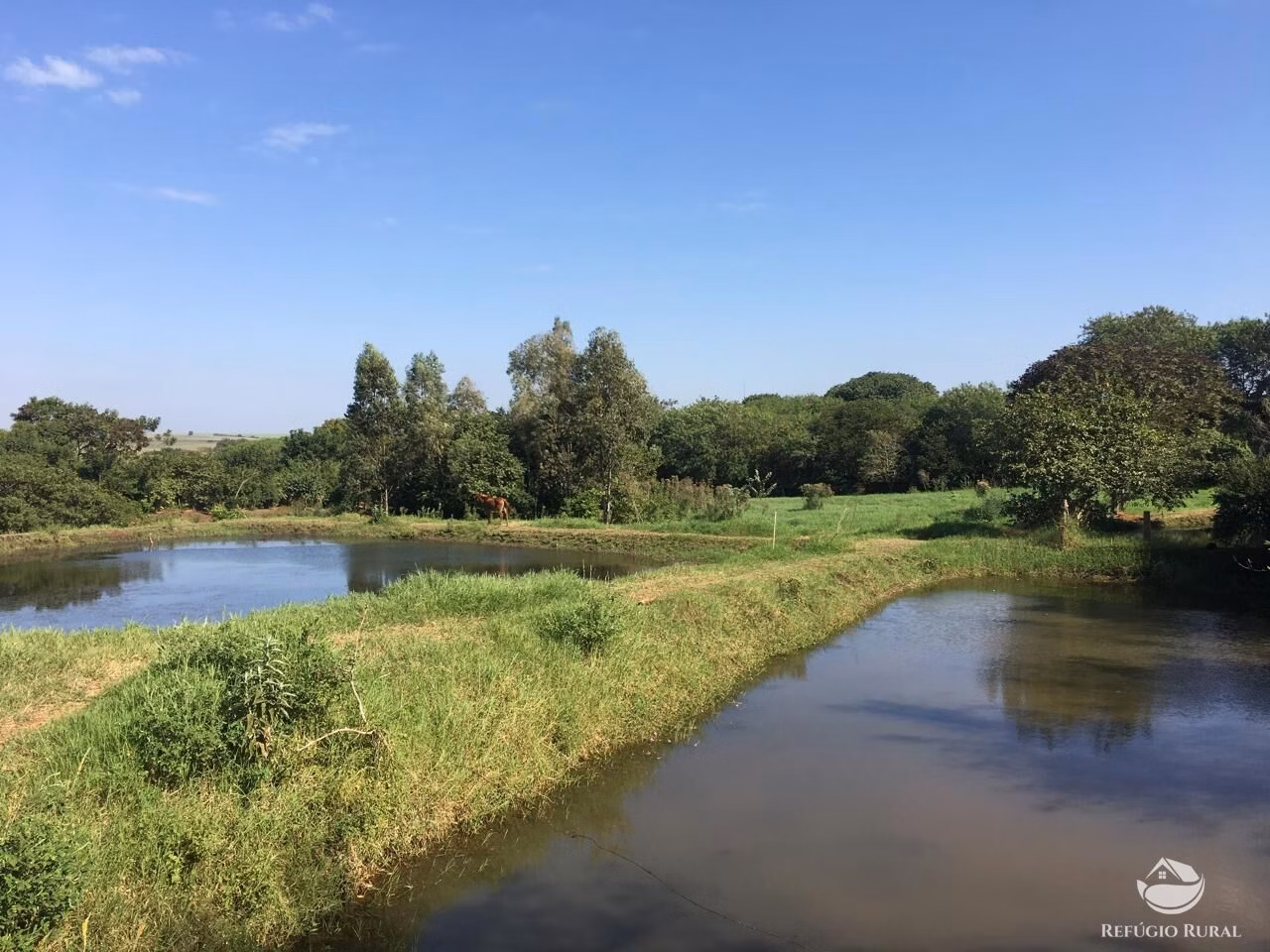 Sítio de 5 ha em Itambaracá, PR