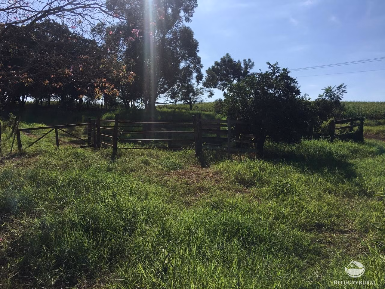 Sítio de 5 ha em Itambaracá, PR