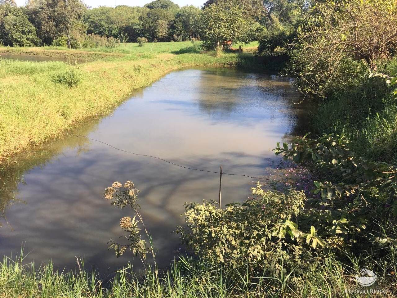 Sítio de 5 ha em Itambaracá, PR
