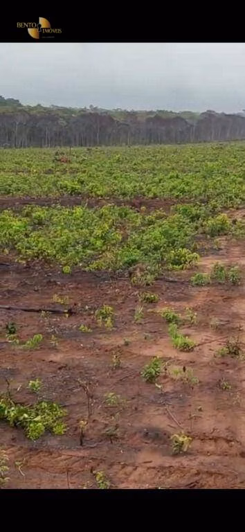 Fazenda de 3.500 ha em Tapurah, MT