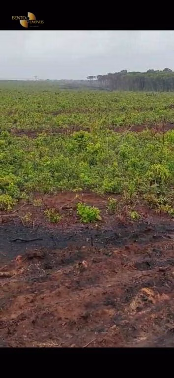 Fazenda de 3.500 ha em Tapurah, MT