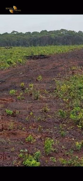 Fazenda de 3.500 ha em Tapurah, MT