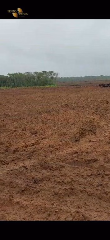 Fazenda de 3.500 ha em Tapurah, MT