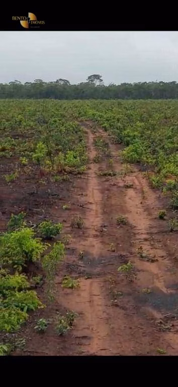 Fazenda de 3.500 ha em Tapurah, MT