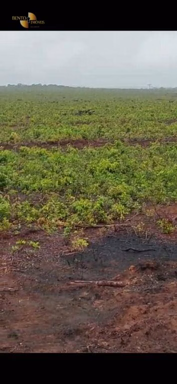 Fazenda de 3.500 ha em Tapurah, MT