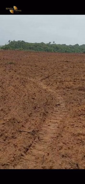 Fazenda de 3.500 ha em Tapurah, MT