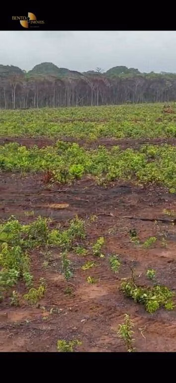 Fazenda de 3.500 ha em Tapurah, MT