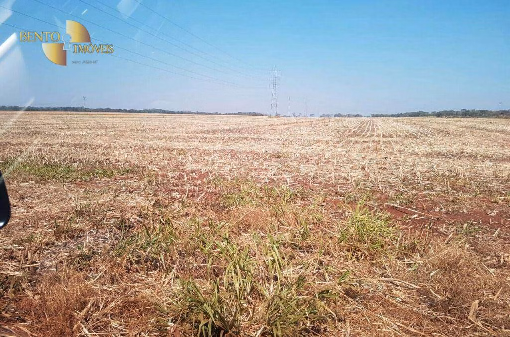 Fazenda de 305 ha em Jangada, MT