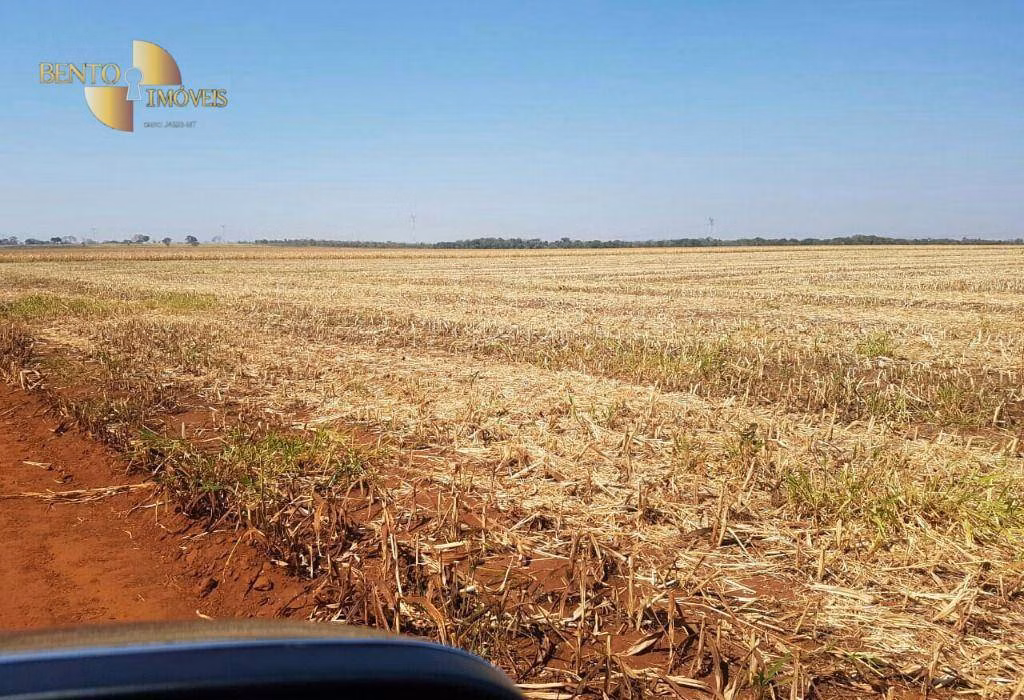 Fazenda de 305 ha em Jangada, MT