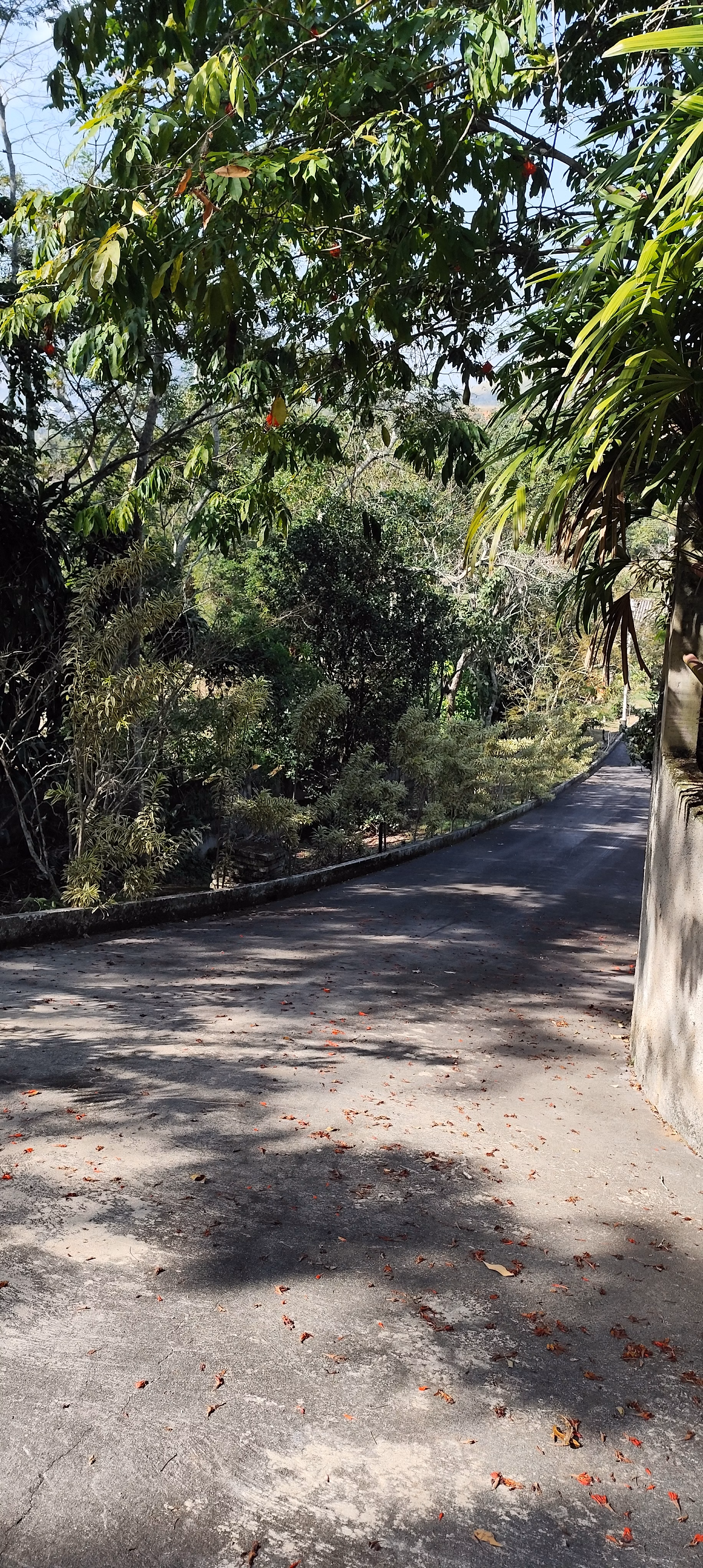 Chácara de 1 ha em Maricá, RJ
