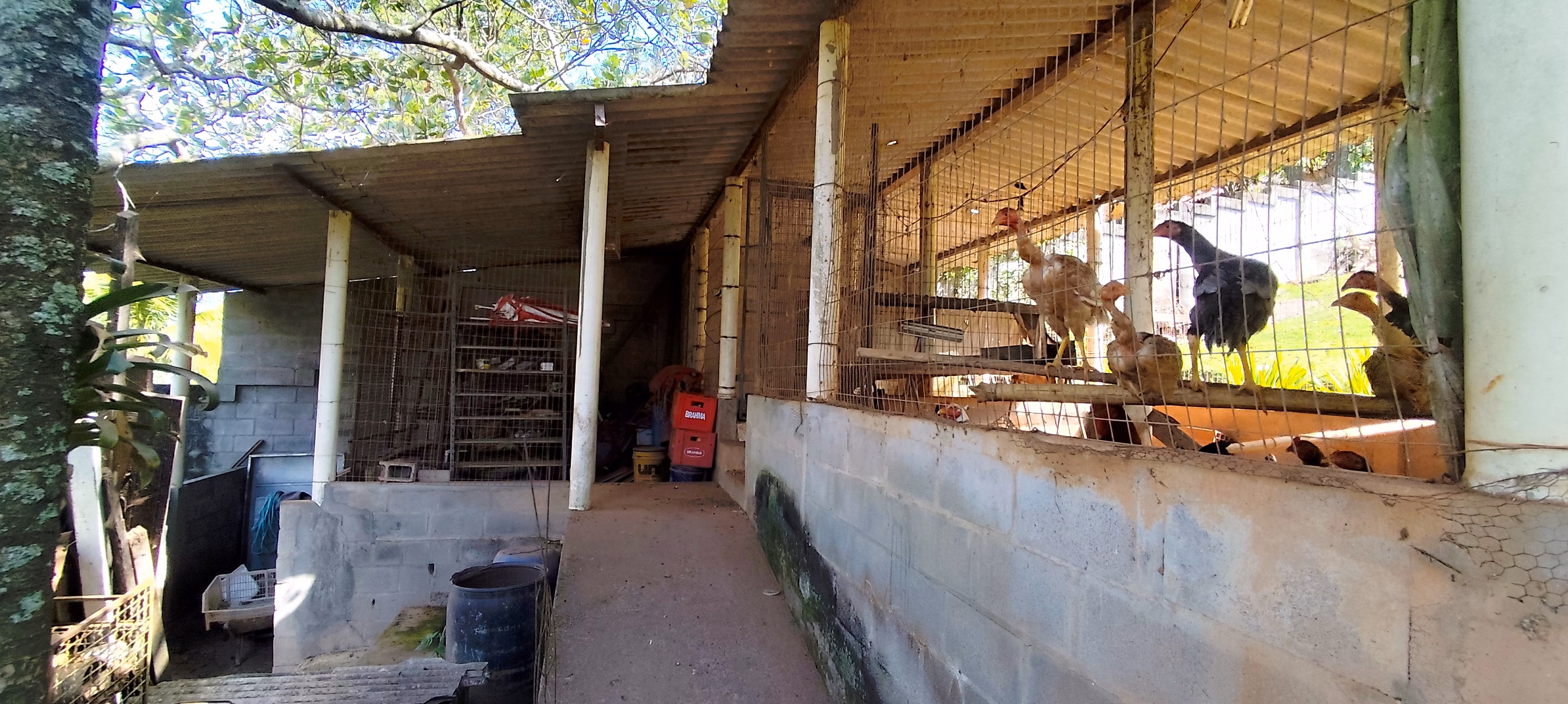 Chácara de 1 ha em Maricá, RJ