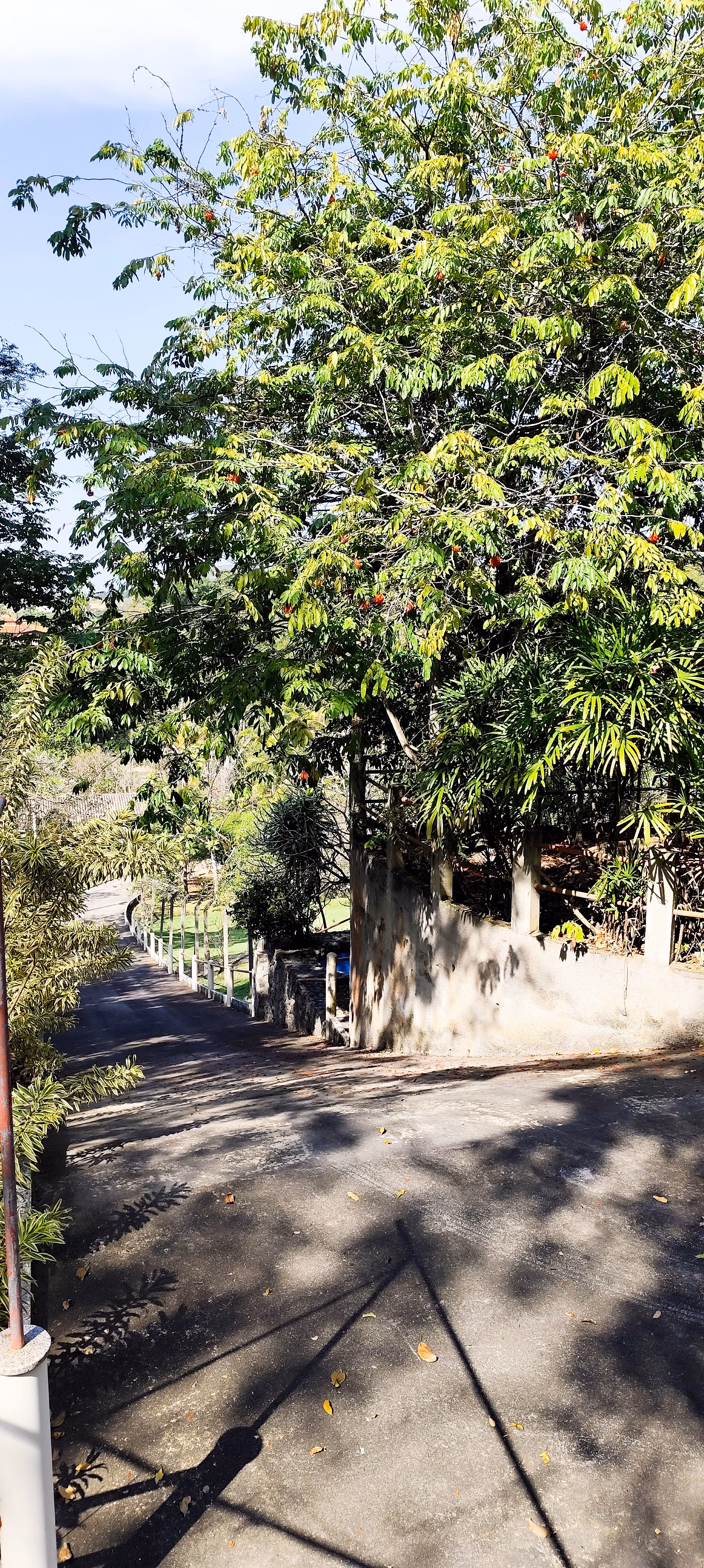 Chácara de 1 ha em Maricá, RJ