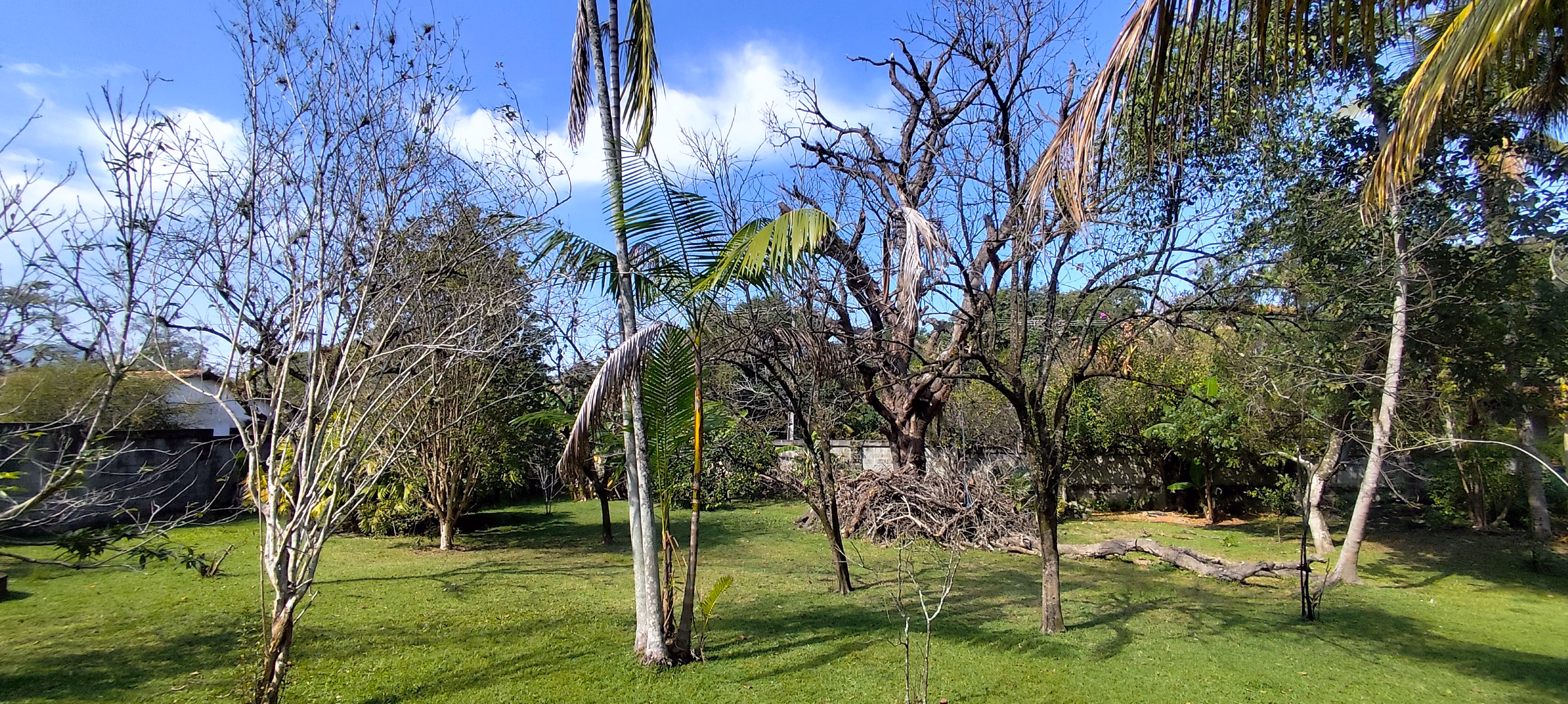Chácara de 1 ha em Maricá, RJ
