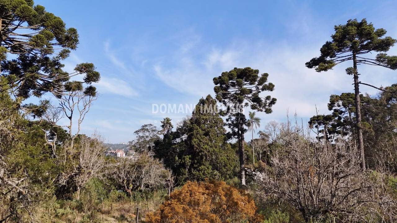 Plot of 6 acres in Campos do Jordão, SP, Brazil