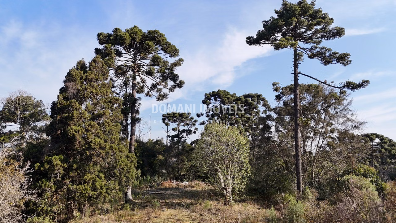 Plot of 6 acres in Campos do Jordão, SP, Brazil