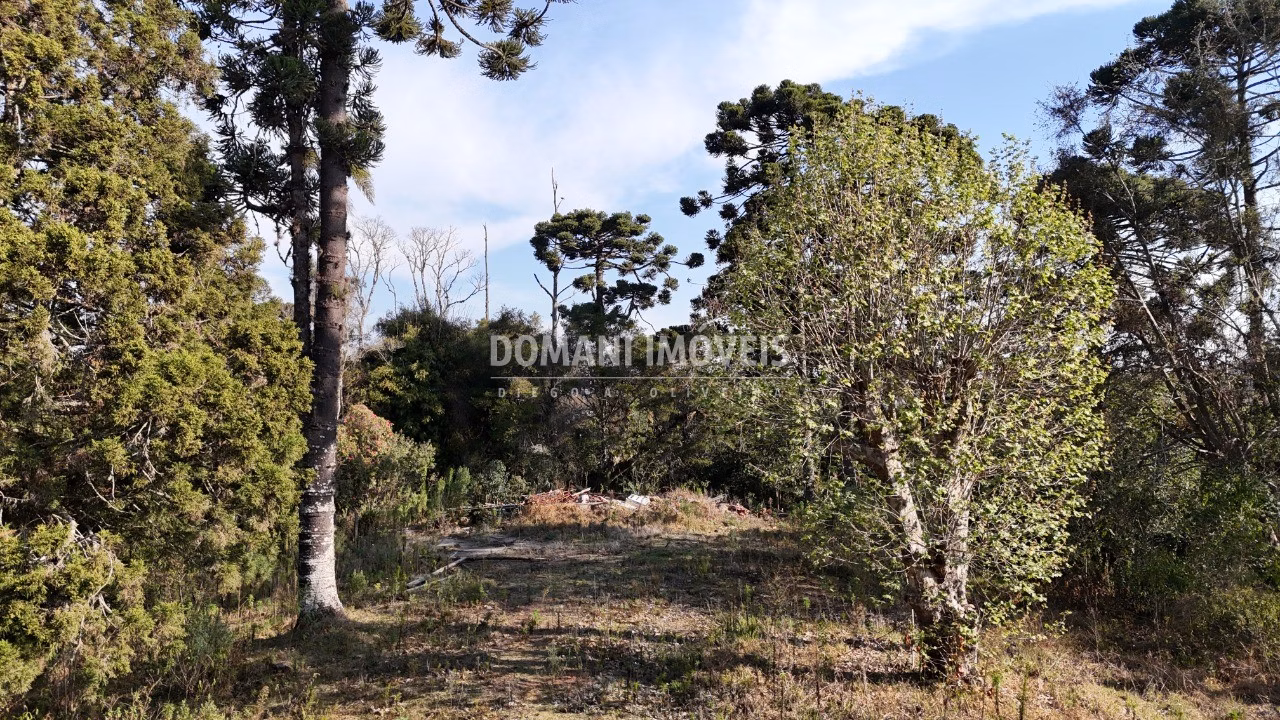 Plot of 6 acres in Campos do Jordão, SP, Brazil