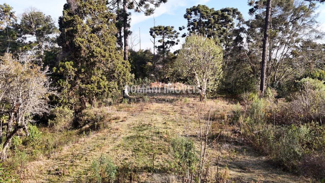 Plot of 6 acres in Campos do Jordão, SP, Brazil
