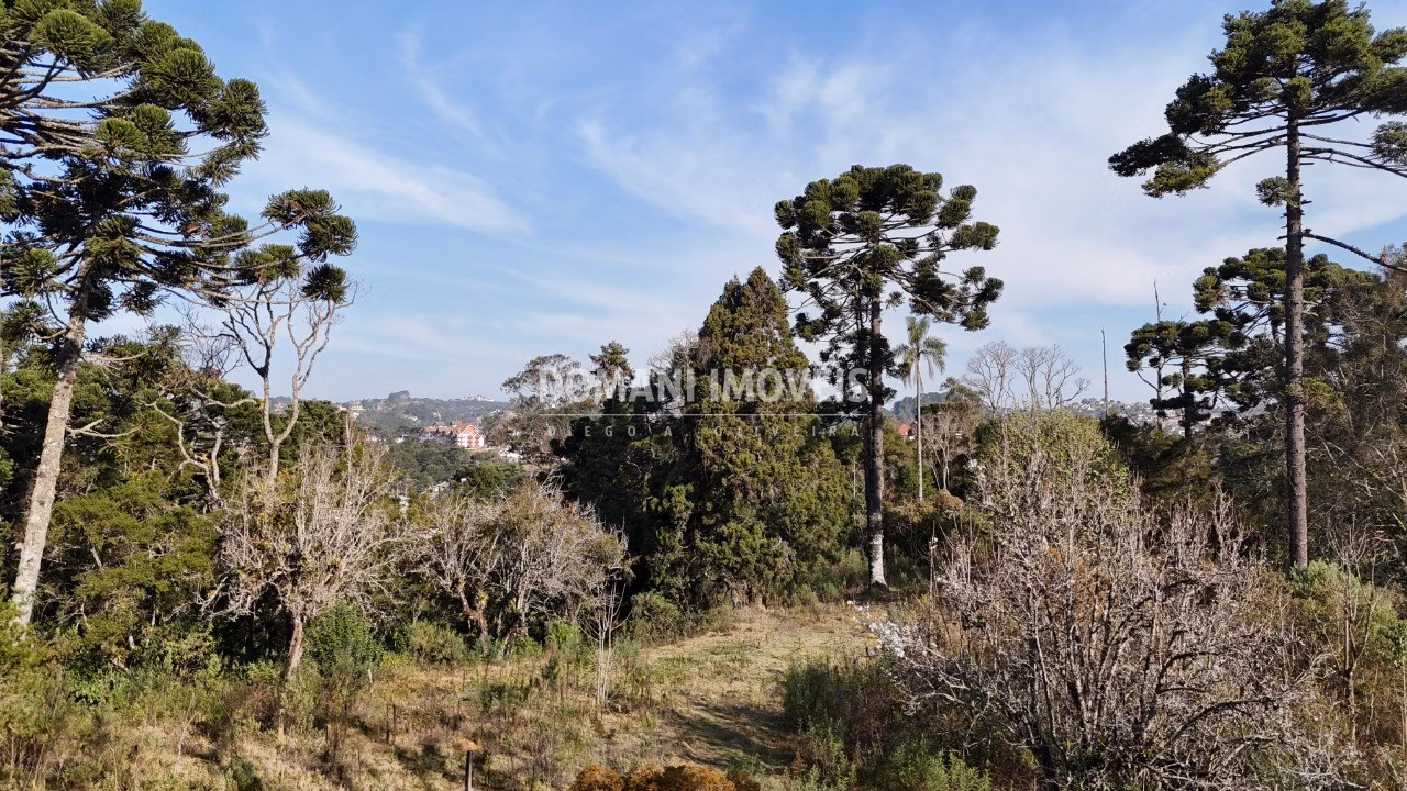 Plot of 6 acres in Campos do Jordão, SP, Brazil
