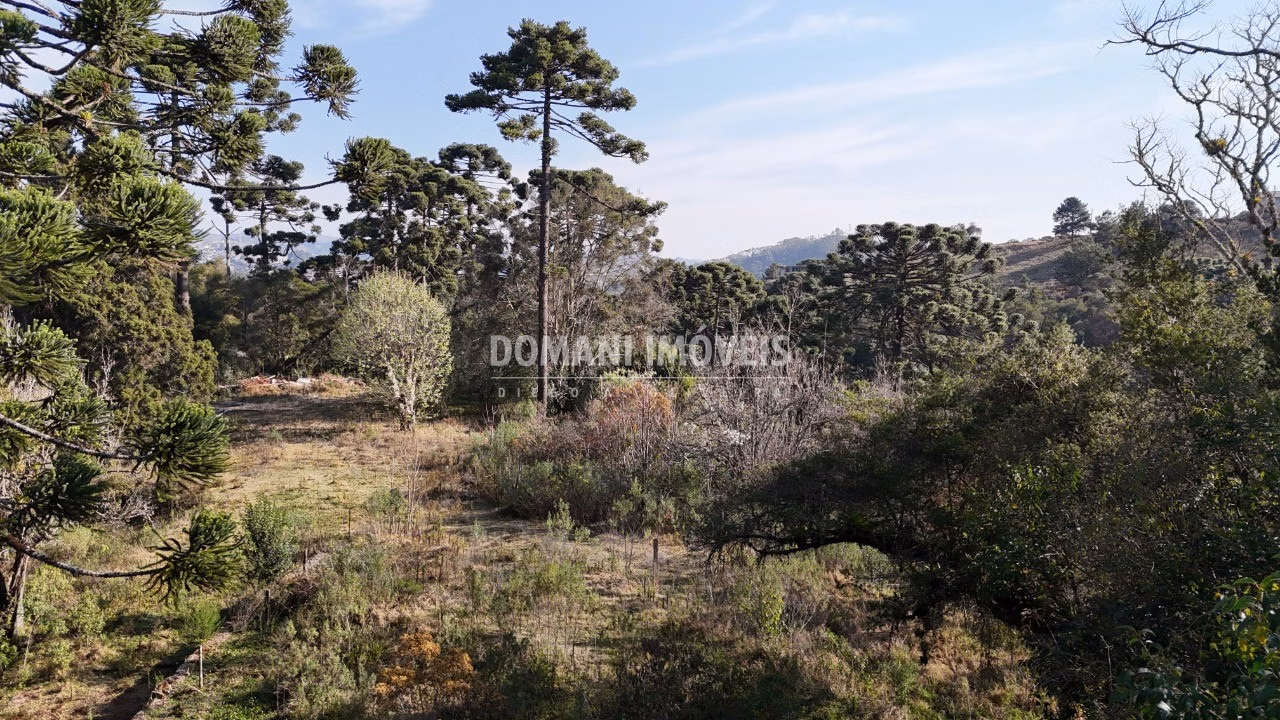 Plot of 6 acres in Campos do Jordão, SP, Brazil