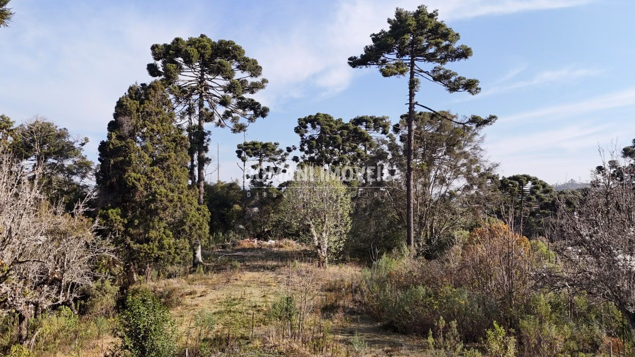Plot of 6 acres in Campos do Jordão, SP, Brazil